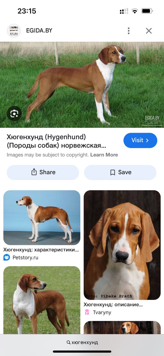 санёчек tweet media