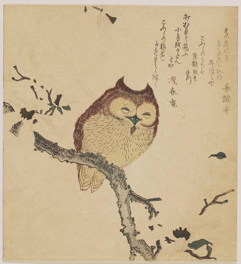 Horned Owl on Flowering Branch, by Kubo Shunman, late 18th century-early 19th century