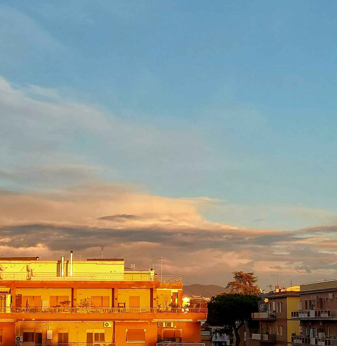 Maria Lea tweet media