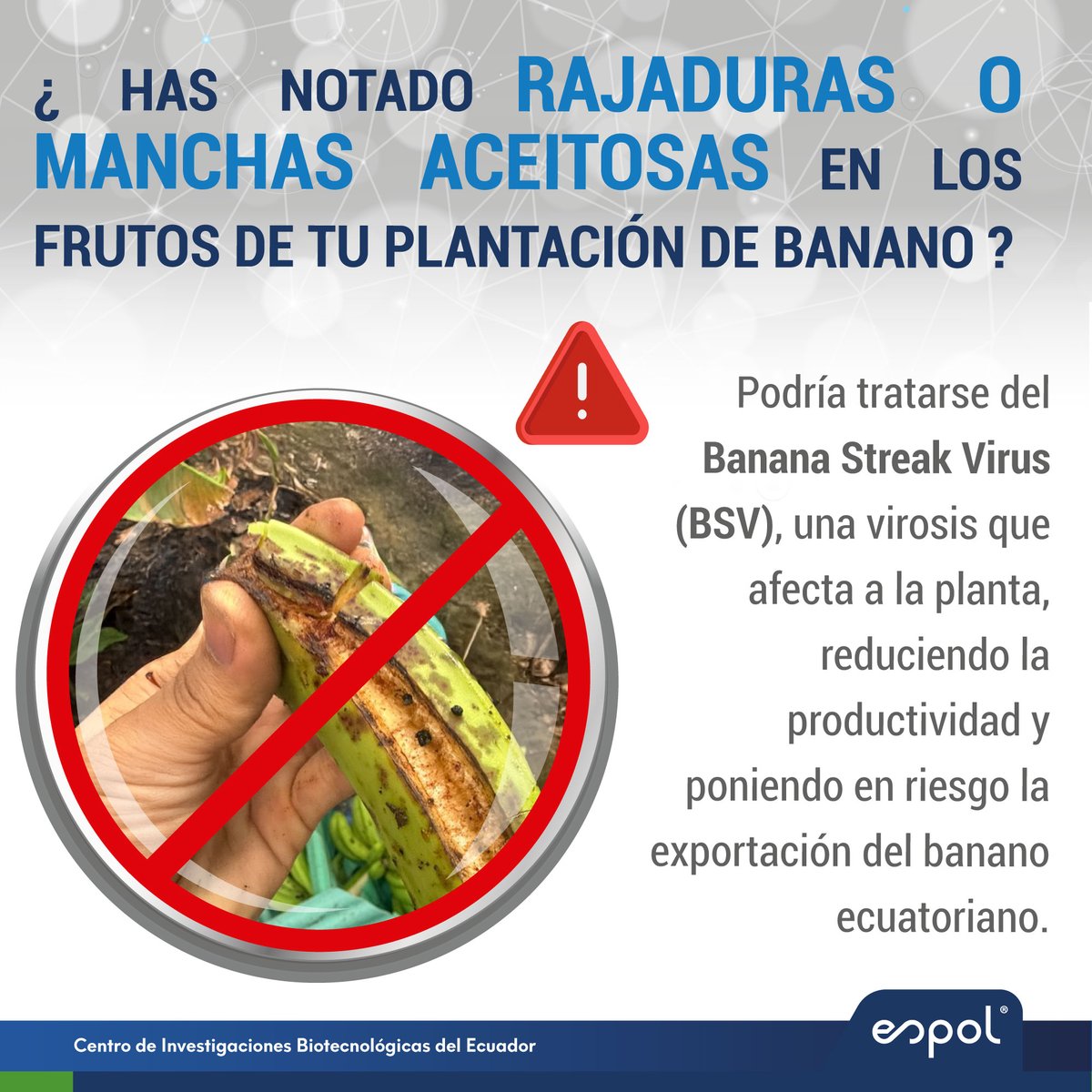 Freddy Magdama tweet media