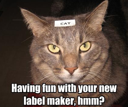 MakeMyLabel's tweet image. 