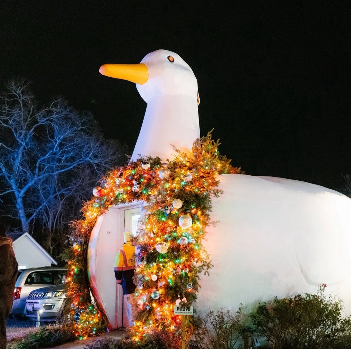 Discover Long Island tweet media