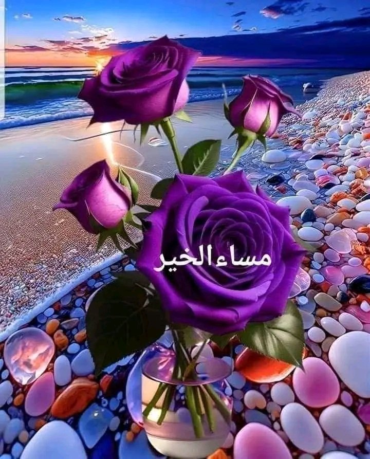 <a href="/AsmaaAhmd17/">ملُگةّ آلأحلام 🇾🇪🇪🇬💫🫅</a>