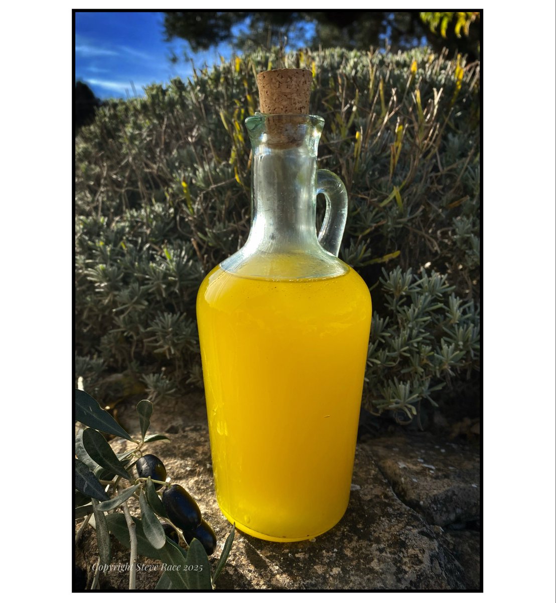 CampdEstrelles's tweet photo. After such a long time (4 yrs), it’s great to be making #OliveOil once again! A little later in the season than we would have normally, but our #Farga olives gave us an extraction of 22.16% and filled the house with 90 litres of fresh, golden extra virgin olive oil…
😉🫒💛🇪🇸 https://t.co/OdSL6hVkeB