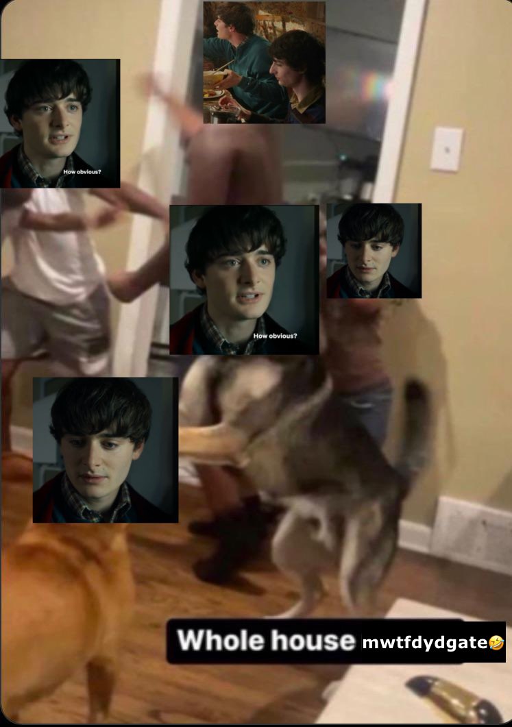 girlfumbler's tweet image. how the tl is looking rn