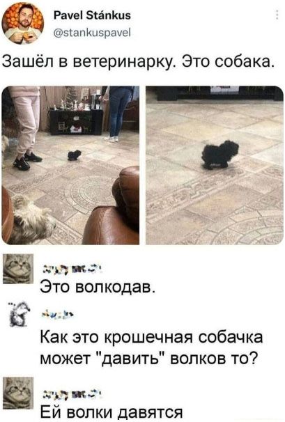 Я, конечно, дико извиняюсь, но это буквально описывает тебя: