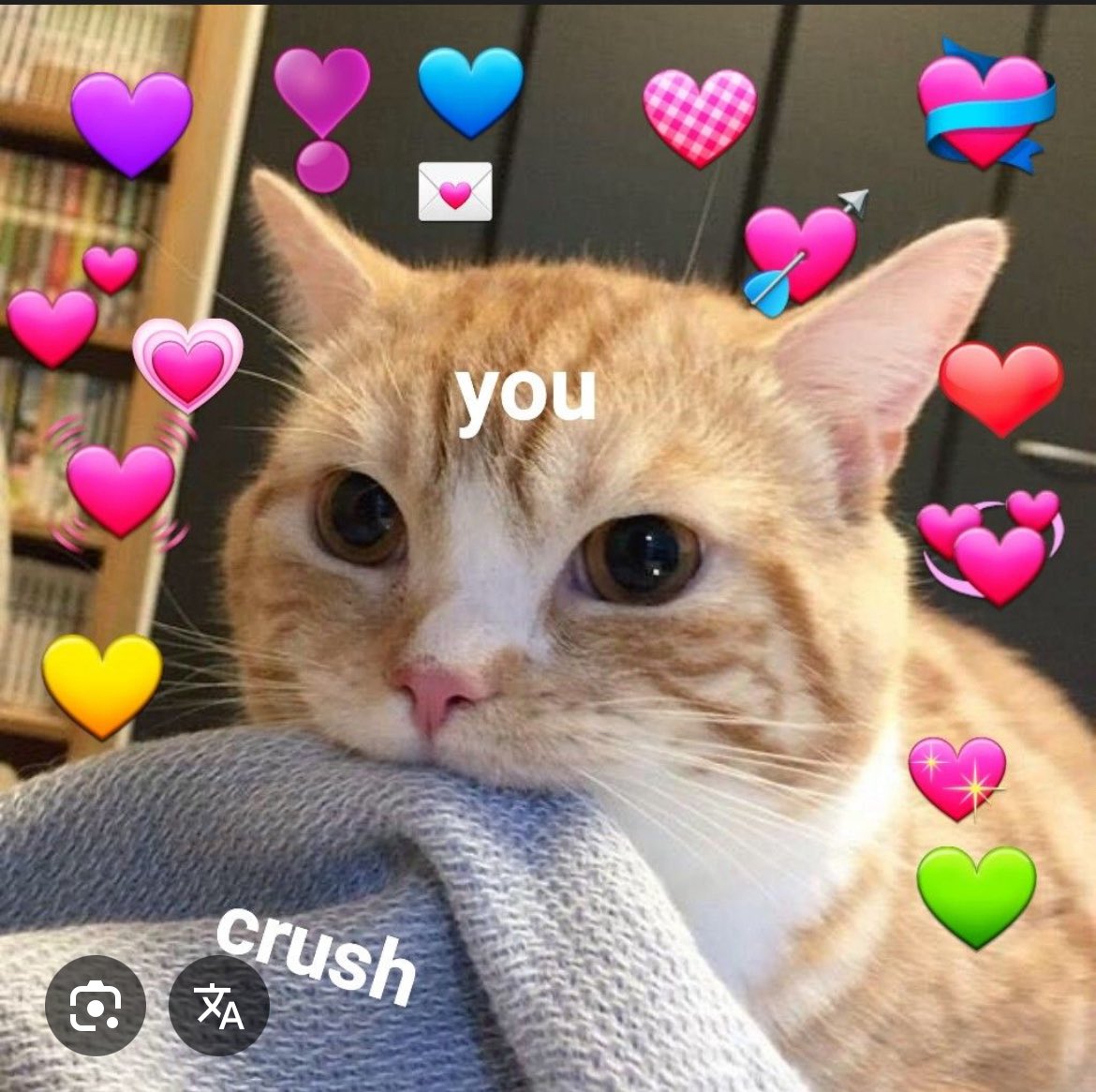 Essa foto é lindinha demais. Ownt 🥹♥️