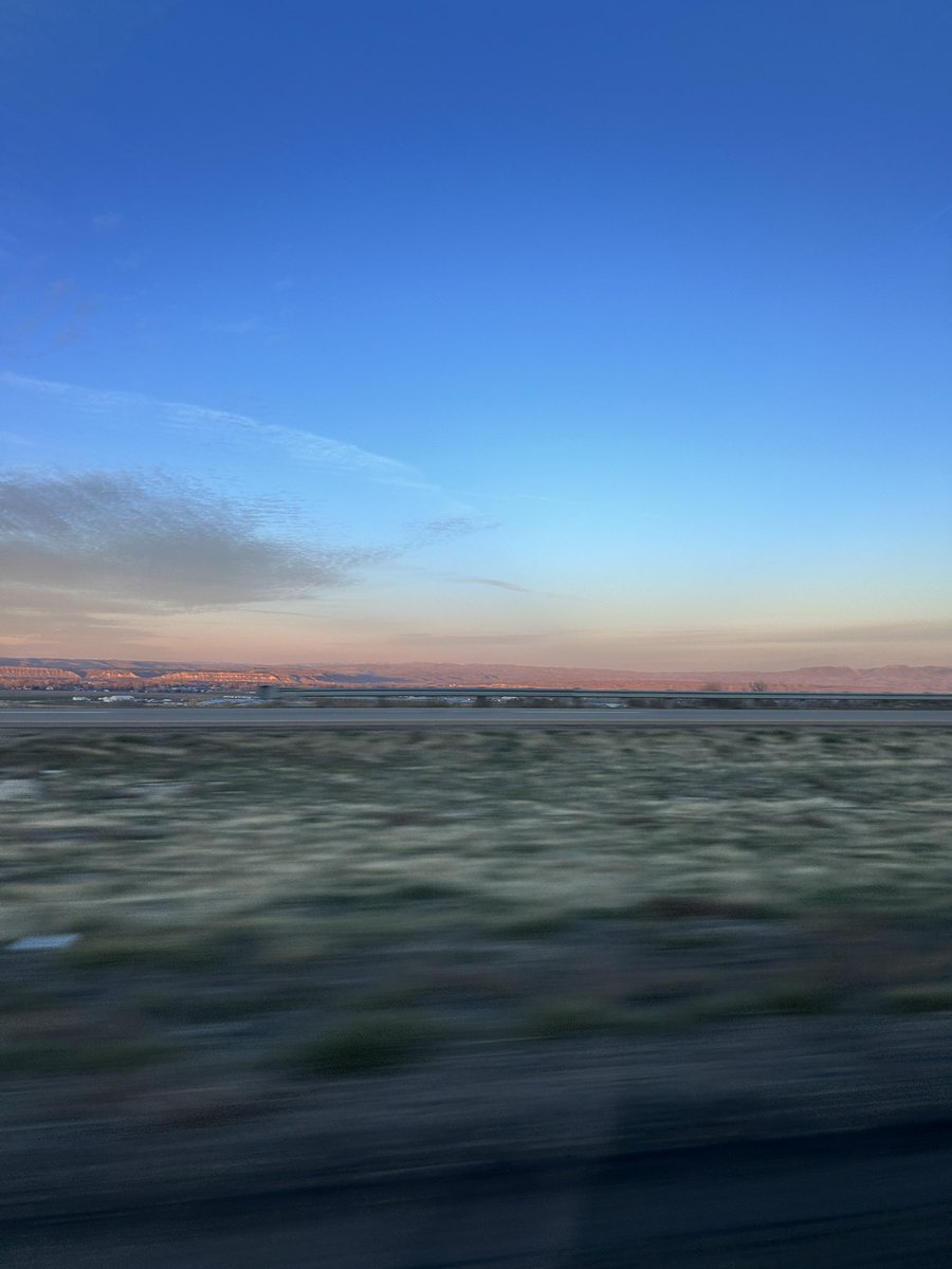 daimyozen's tweet image. life is weird