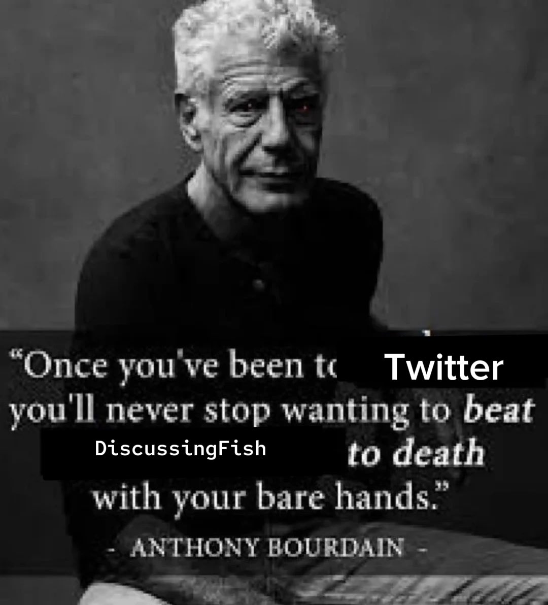 dangerous24182's tweet image. 