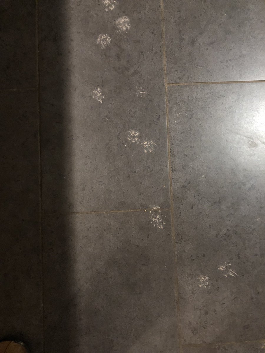 gruffyth's tweet image. We’re having a new patio layed!