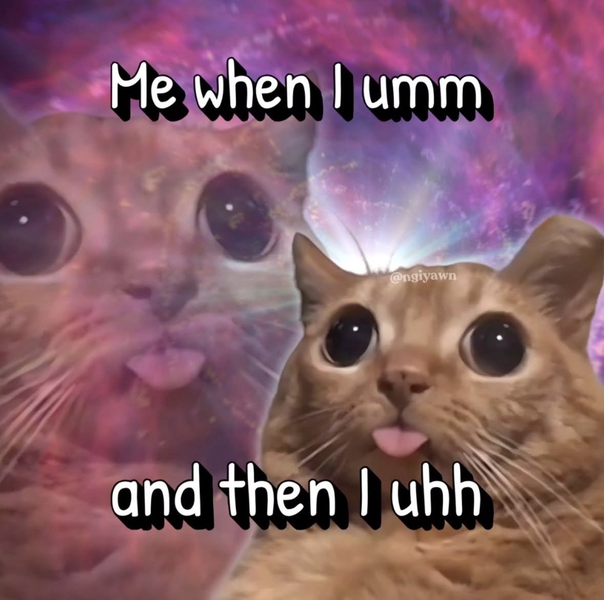 raccoon aesthetic. (@raccoonesthetic) on Twitter photo 