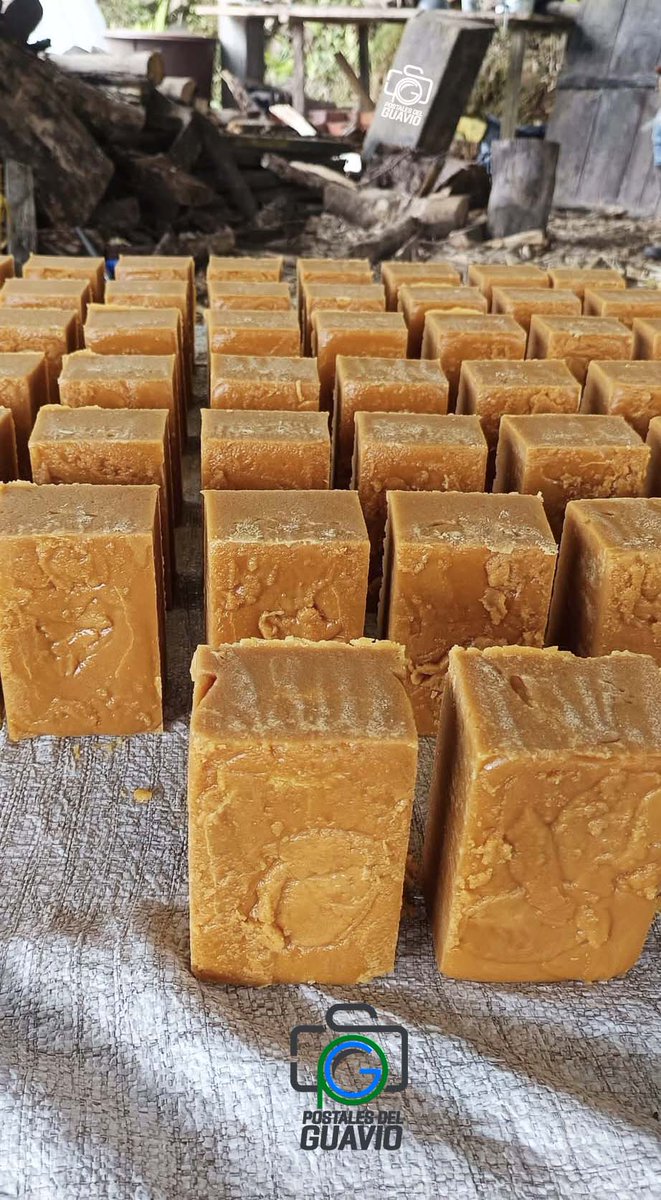 Panela con sabor a tradición y sazón de campo. Elaborada con manos humildes y fuertes de nuestros campesinos, un proceso completamente artesanal que da la energía y la bebida diaria que mantiene vivo nuestro campo.
¡Apoya lo nuestro y endulza tu día con la energía más pura!