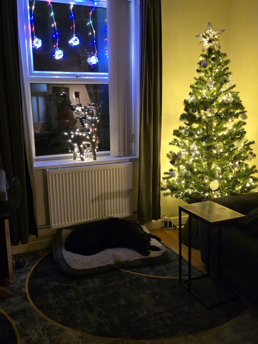 I have Christmas-ified! 🎄