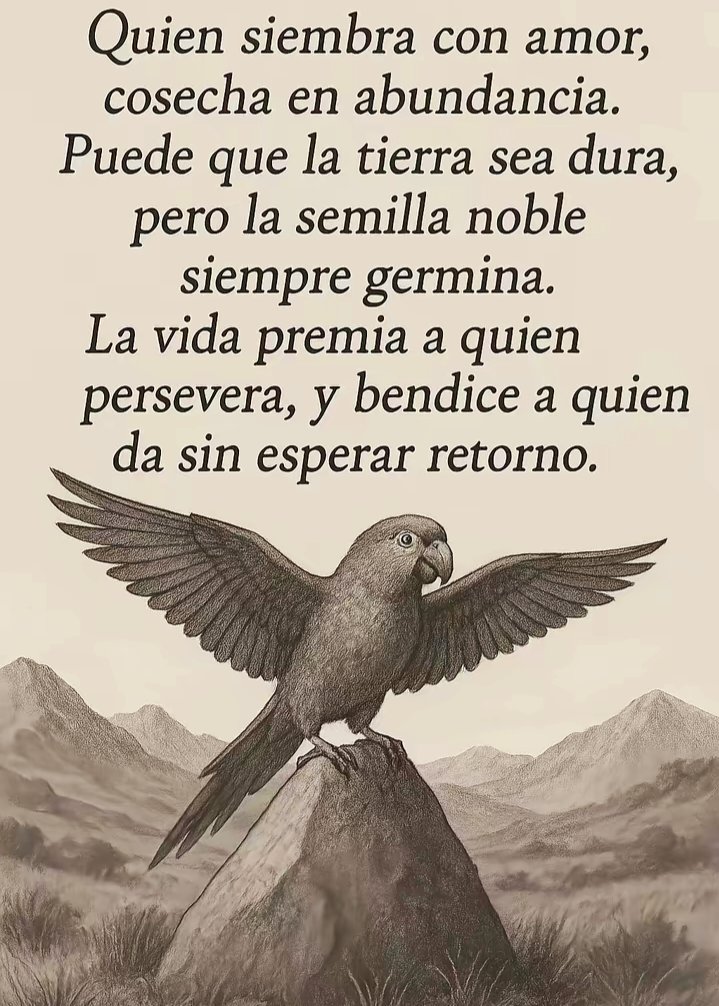 Quien siembra con amor #nadiedicenada #sstvi ##bbtvi #zeudiners