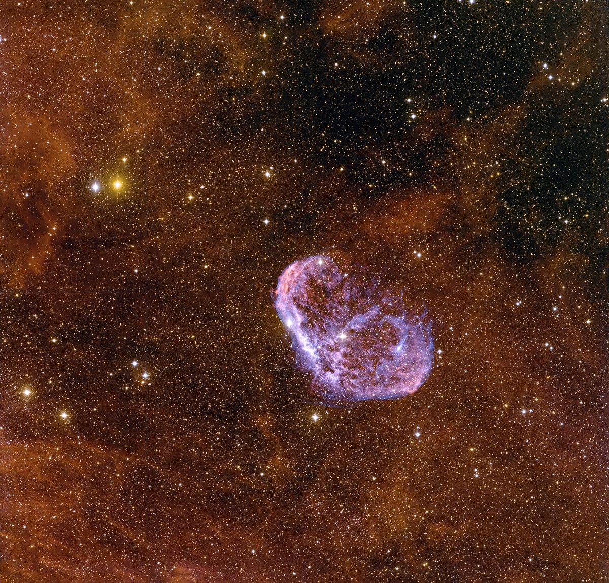 WorldAndScience's tweet photo. The Crescent Nebula, or NGC 6888, is a striking gas shell powered by the fierce stellar winds of WR 136, the central Wolf-Rayet star.

Credit: T.A. Rector (NRAO/AUI/NSF and NOIRLab/NSF/AURA) https://t.co/h6otGY5jbL