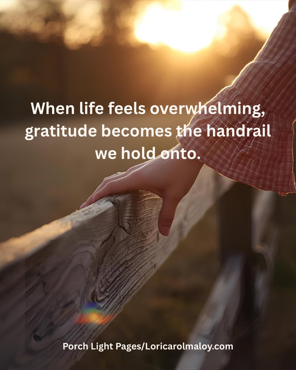 Loricarolmaloy's tweet image. When life feels overwhelming, gratitude becomes the handrail that steadies us. ❤️‍🩹

#PorchLightPages #GratitudeThatHeals #GentleEncouragement #SoulCare