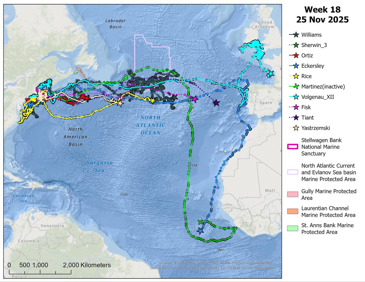 NOAA Stellwagen Bank NMS tweet media