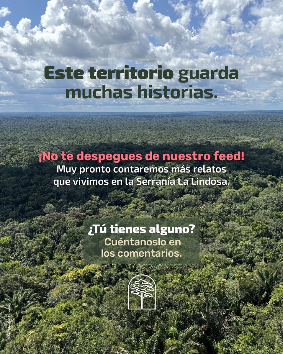 La Serranía La Lindosa, en el departamento del Guaviare, es un lugar donde la montaña cuenta historias.
 Sus pictogramas milenarios guardan relatos que han sobrevivido al tiempo y que hoy siguen enseñándonos el profundo vínculo entre la vida y el bosque. Un patrimonio para todo