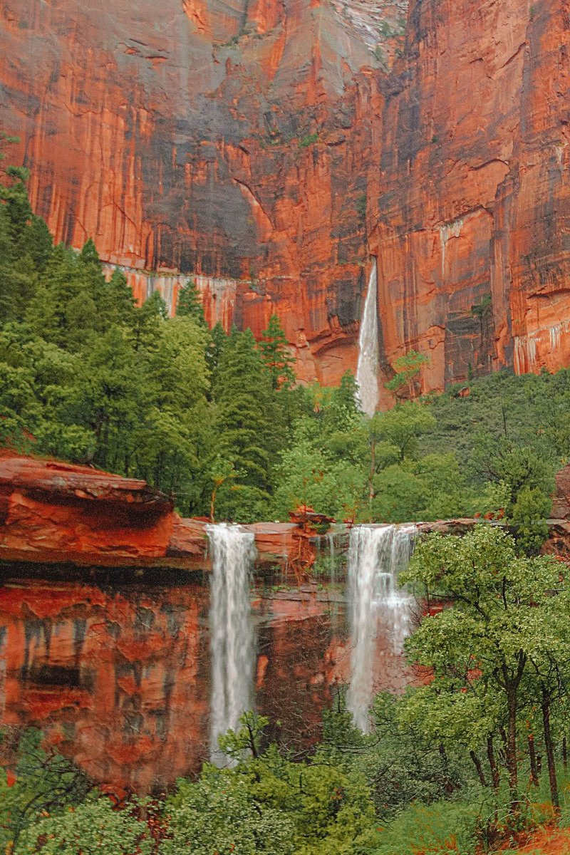 naturebeautyh's tweet image. Zion National Park USA