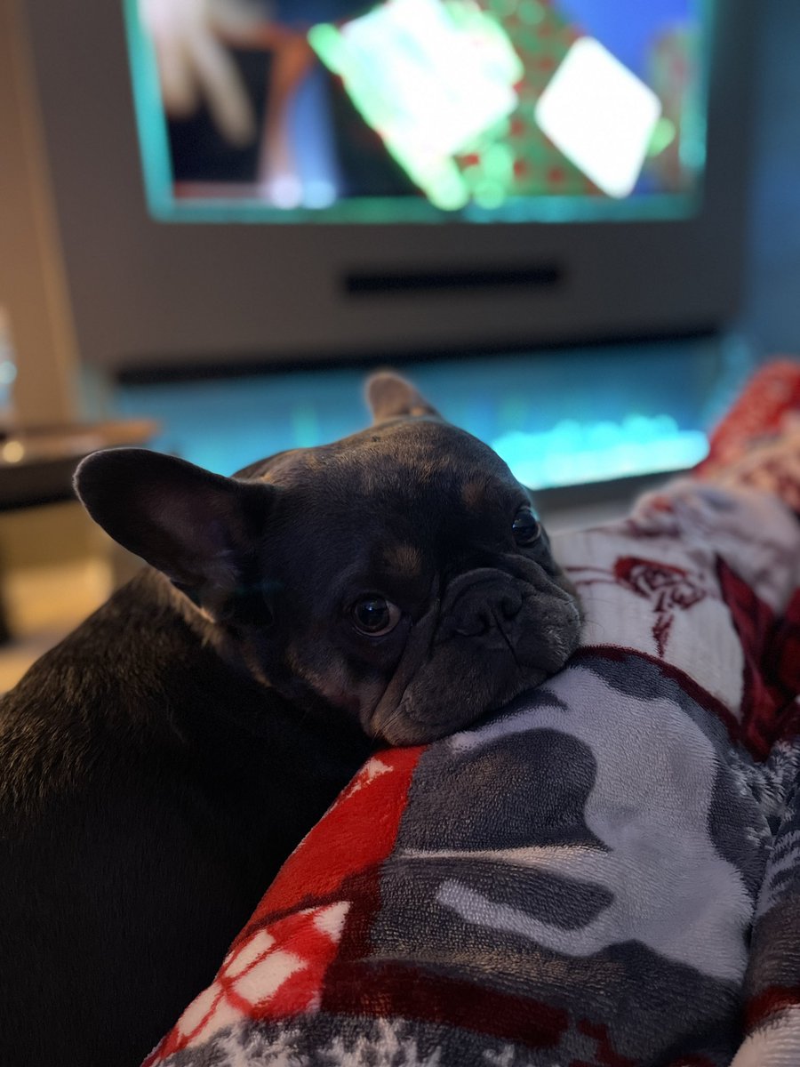 TwoShayde 👽 tweet media