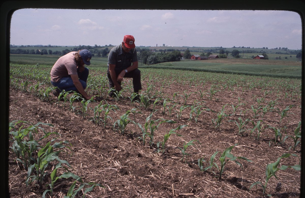 USDA_NRCS's tweet image. In the 1980s, government subsidies and the 1985 Farm Bill motivated farmers to adopt no-till methods. In this photo, farmers are examining soil in no-till cornfield in Jackson County, Iowa around that time.