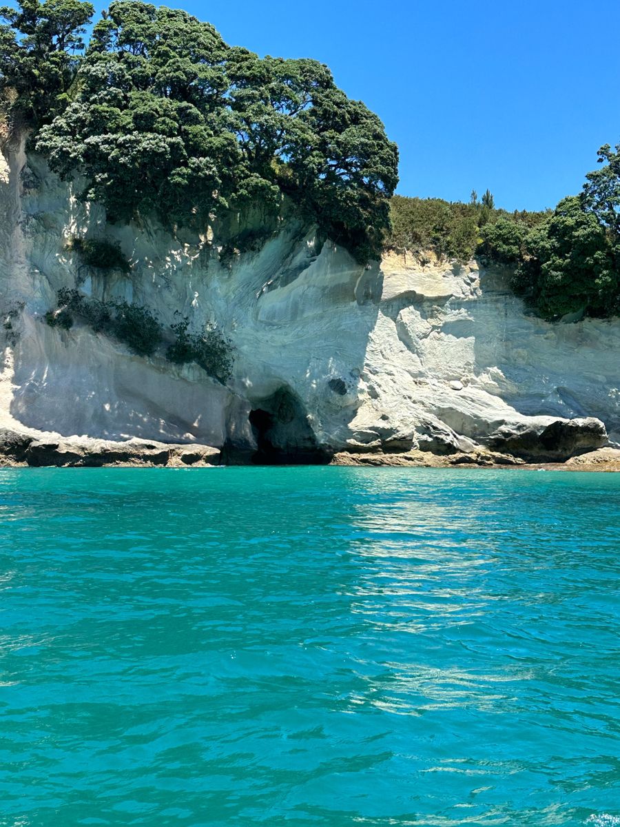 naturebeautyh's tweet image. Blue cave