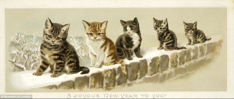 kitties on vintage winter postcards 💌