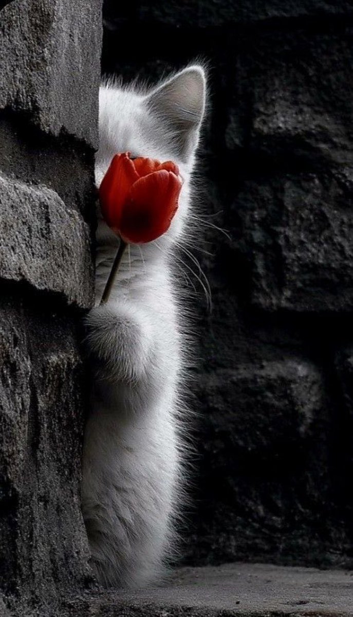 MAZEN ‏ܡܐܙܢ 🥀 (@frombeiruth) on Twitter photo 