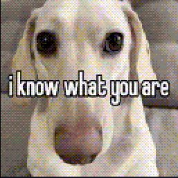 me pone agresiva ver a tantas famosas hacer body checking