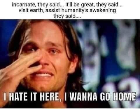 maximumpain333's tweet image. 