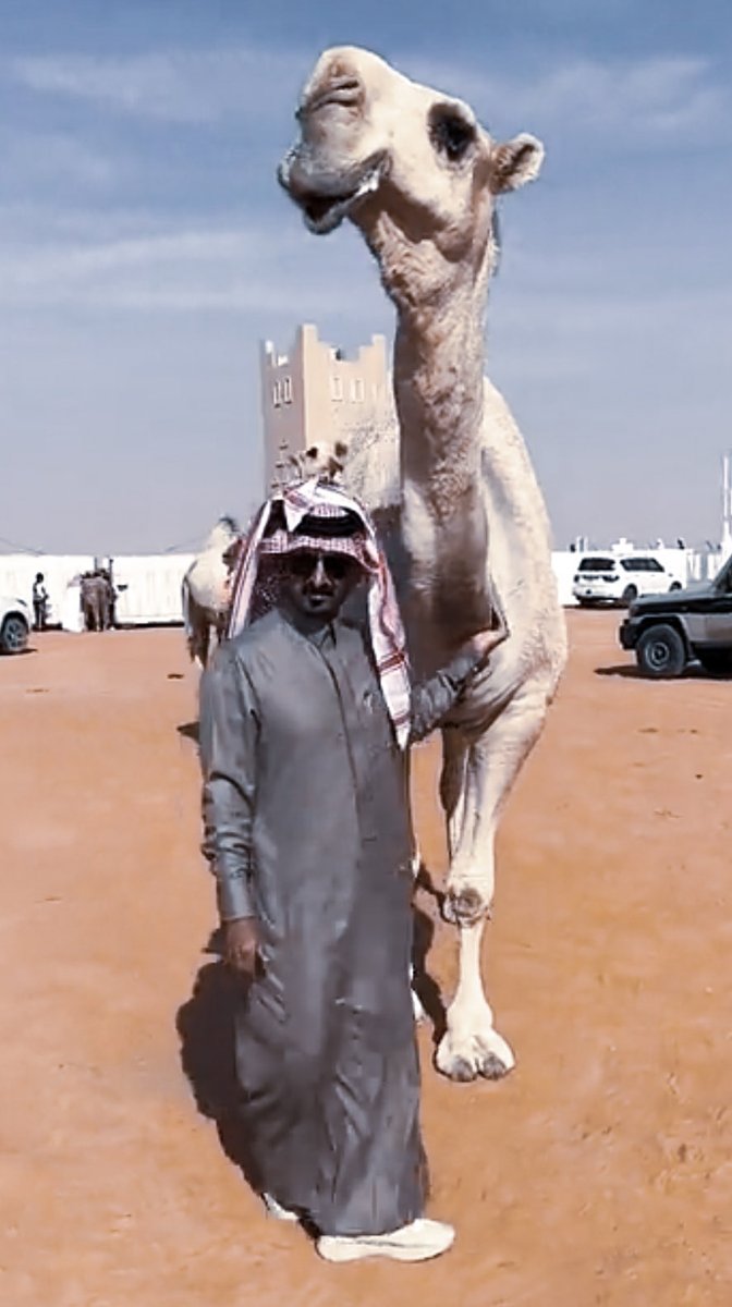 من يلوم القلب في حب الابل
كنه يلوم الأرض في حب المطر .

#ابن_جخدب | <a href="/Bnjkdb/">محمد بن فهاد بن جخدب</a>