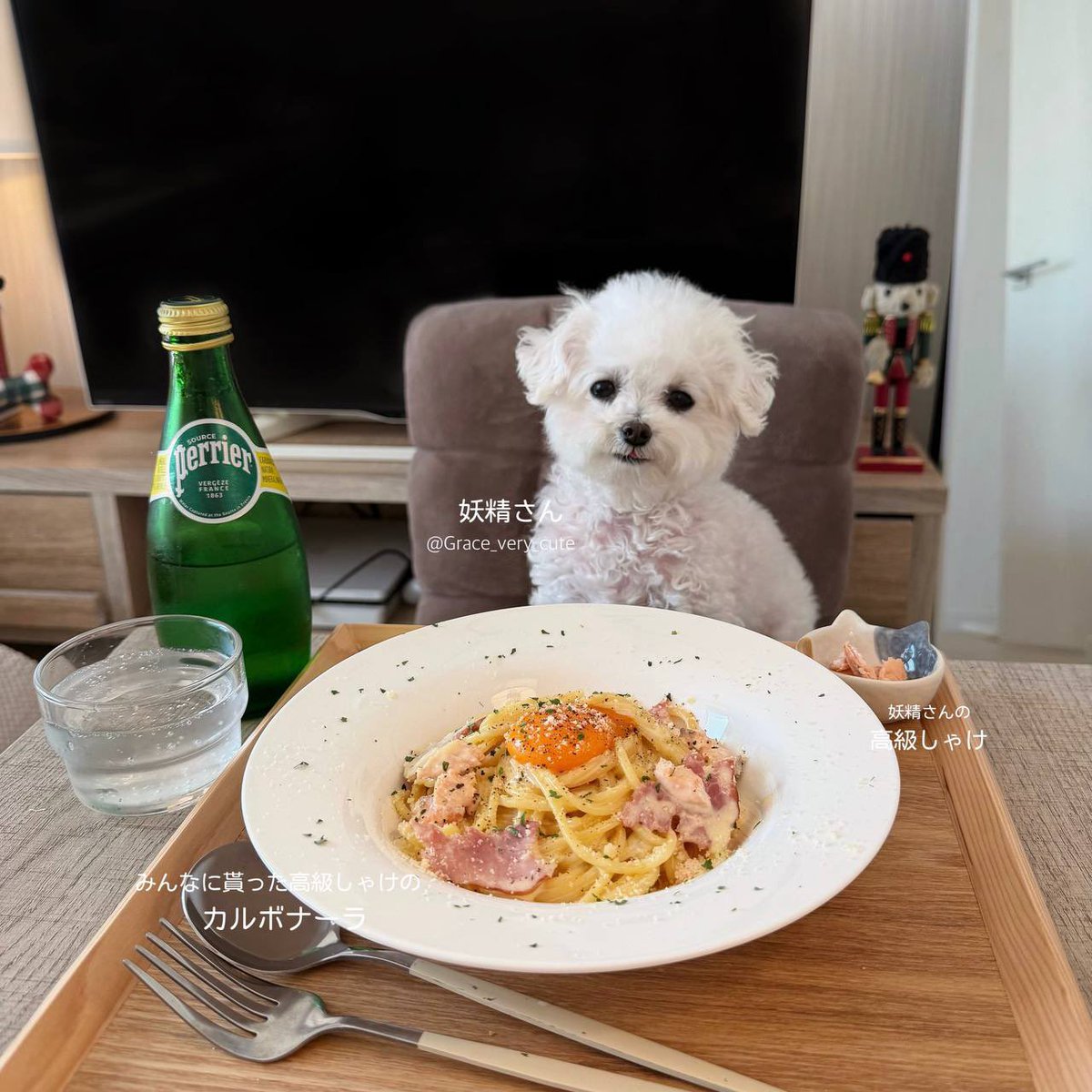 Winniejacksrn's tweet image. Gm from $Grace 

the most viral dog on X right now.

$GRACE pulled 1.4B views in just 7–8 weeks, with every post hitting tens of millions in a single day.
No dog is dominating the X algorithm harder than GRACE.

DdGNpQqUiVMu6EnE8HeEfDDSiLQZQratbtxtGAFfpump…