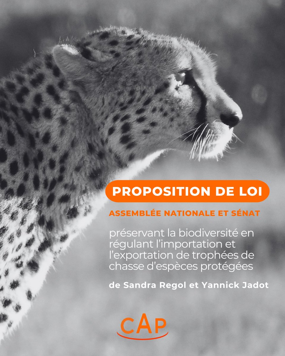 Convergence Animaux Politique tweet media