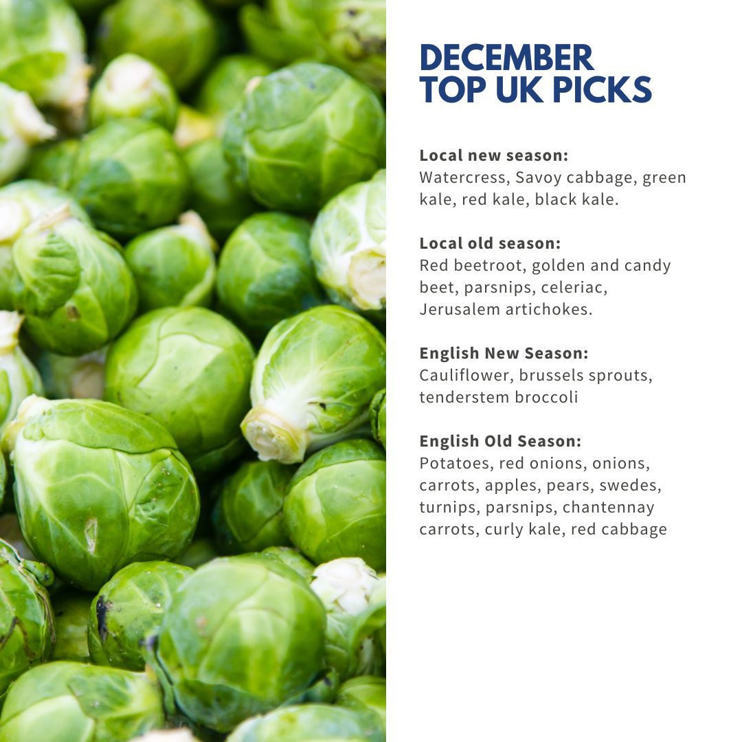See what's in season this December.