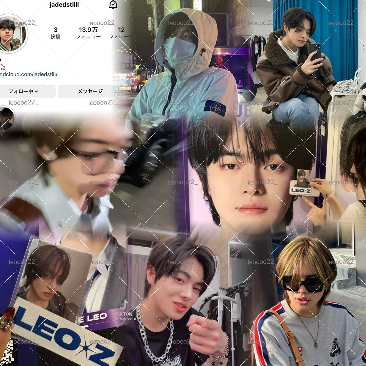 🦁 tweet media