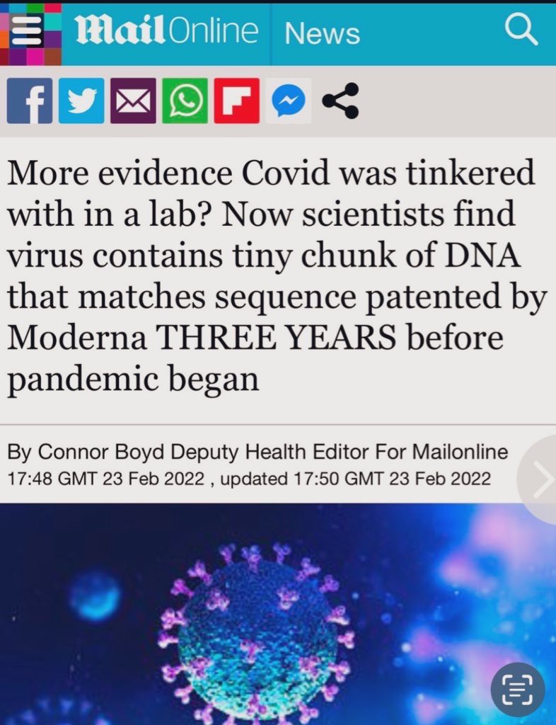 liz_churchill10's tweet image. How TF is this possible?