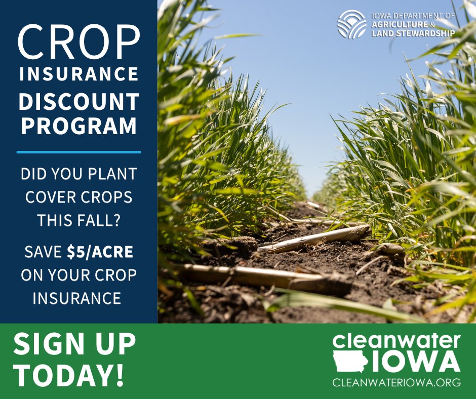 IADeptAg's tweet image. Did you plant cover crops this fall? You could save $5/acre on crop insurance premiums next spring. Sign up now for @IADeptAg's Crop Insurance Discount Program. Discount applies to insurance premium. For more information, go to apply.cleanwateriowa.org.
#IowaAg #CleanWaterIowa