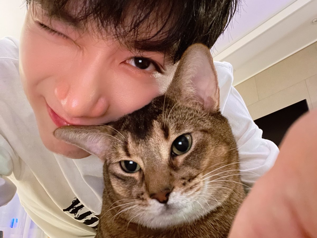 PPTT_1001's tweet image. Leon = Unconditional Love รักที่ไม่มีเงื่อนไขของปะป๊าเตนล์ 🫶🏻🐱