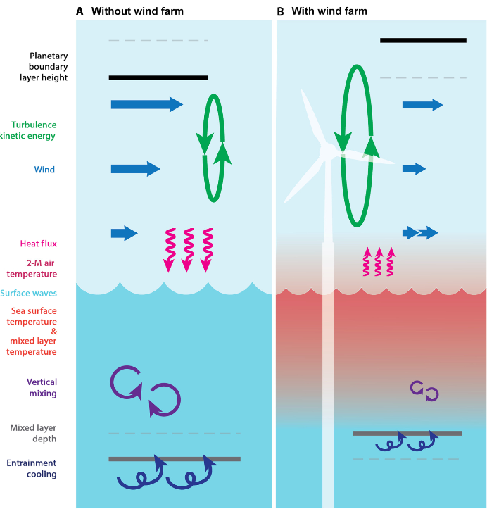 Wat u al lang wist, wordt nu bevestigd in peer-reviewed vaktijdschrift : windmolenturbines op zee verstoren het ecosysteem en hebben negatief effect op lokale biodiversiteit. En ze zorgen voor lokale opwarming van zeewater.

science.org/doi/10.1126/sc…