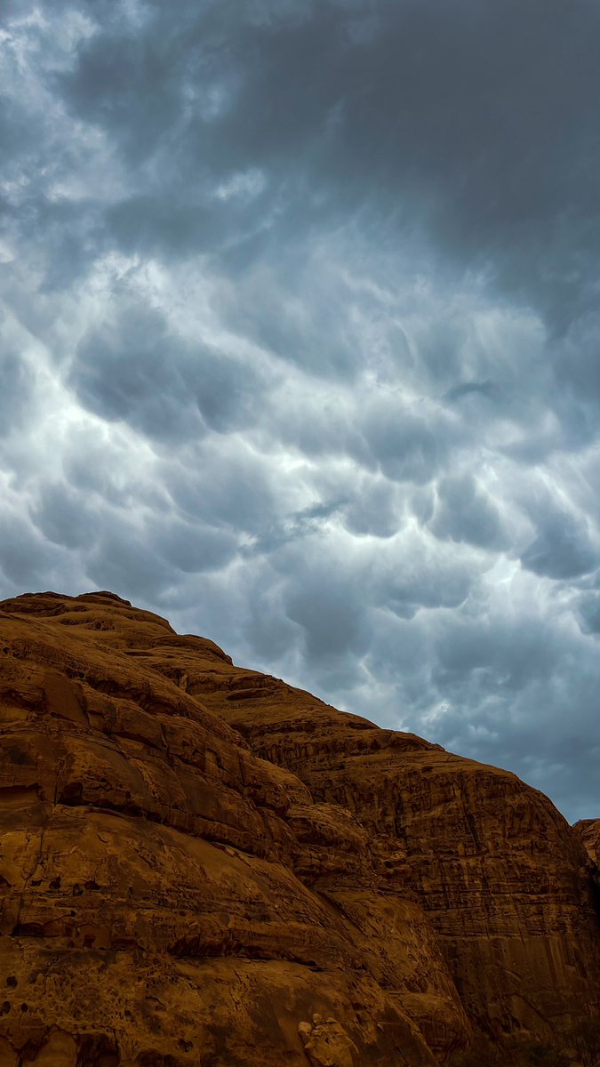 متعب | AlUla tweet media