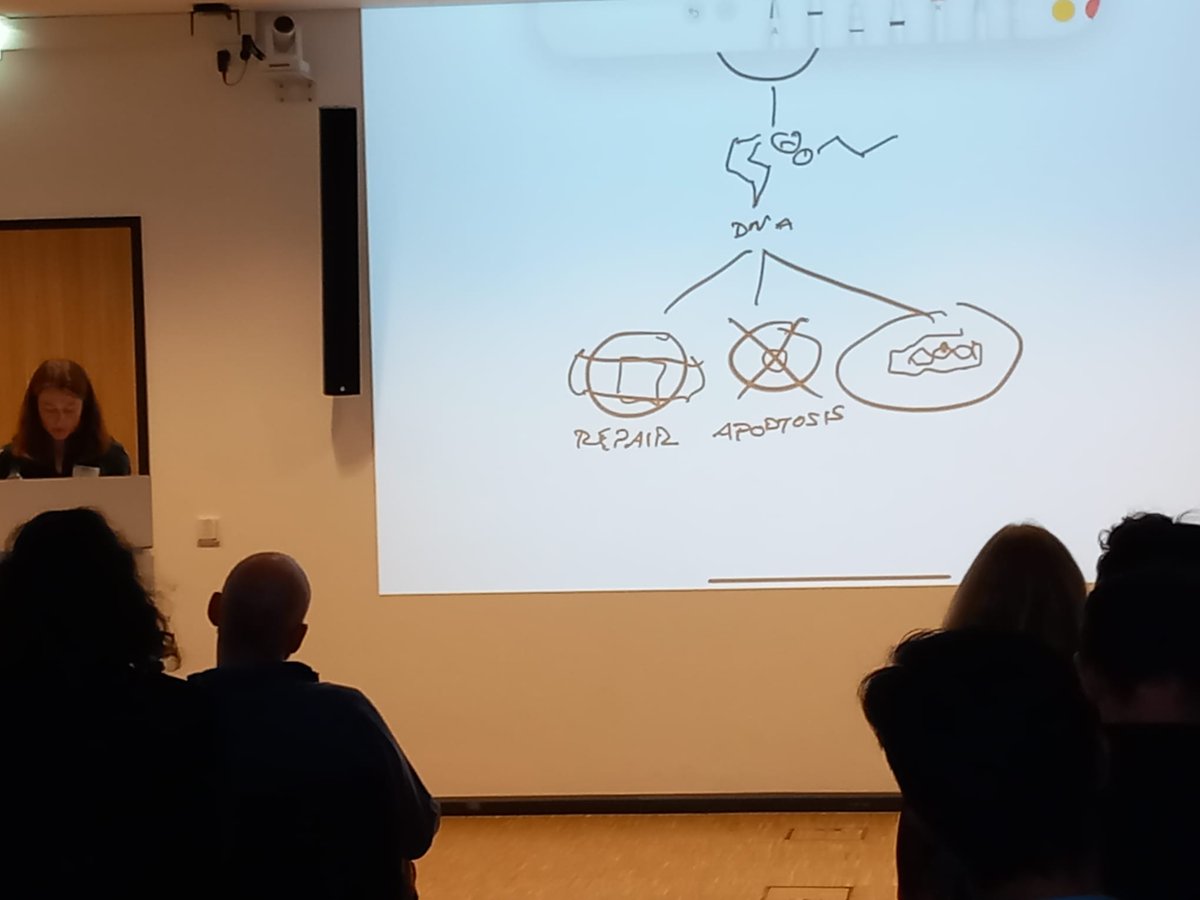 BatProtect tweet media