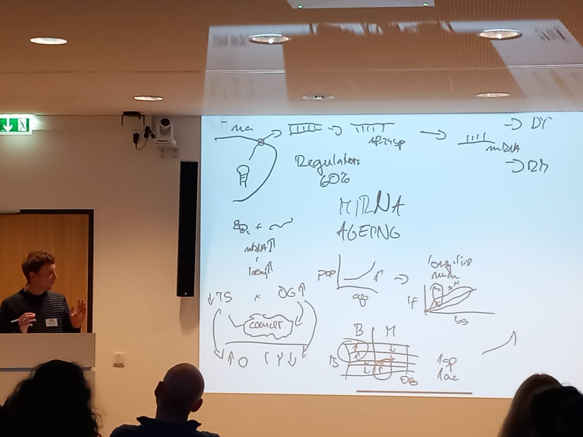 BatProtect tweet media