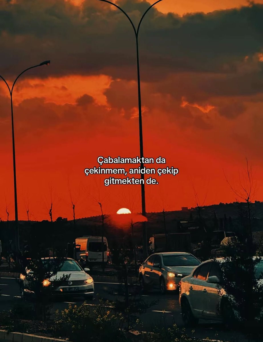 Ardıç Kuşu (@ardiskusu) on Twitter photo 