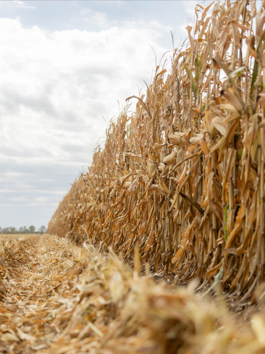 AgVenture, Inc. tweet media