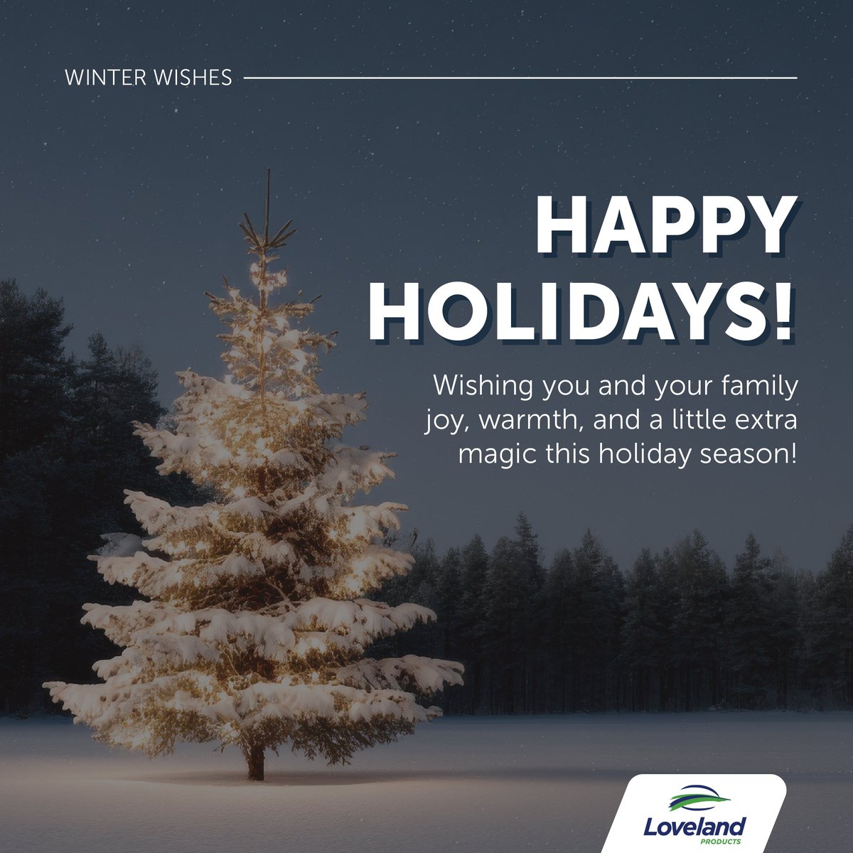Wishing you and your family a very merry holiday season! ❄️⛄