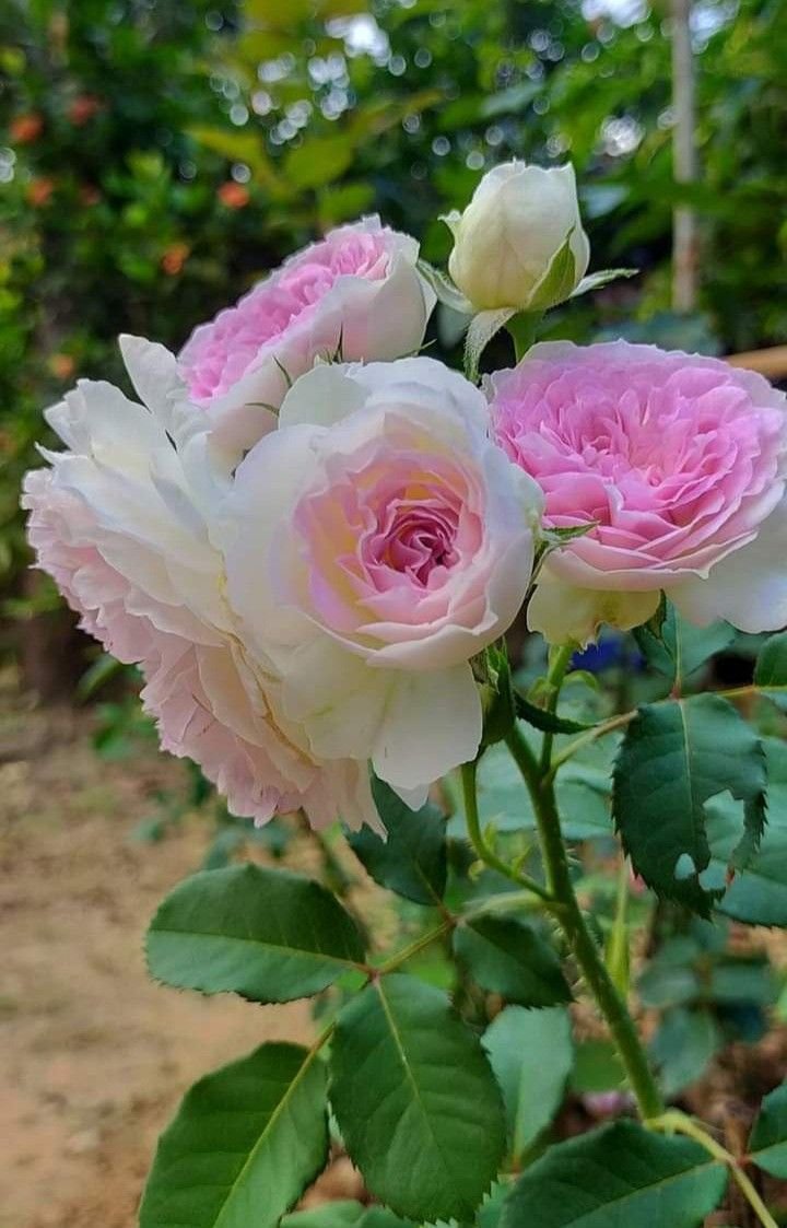 Let go of what you can't control, and hold on to what you can