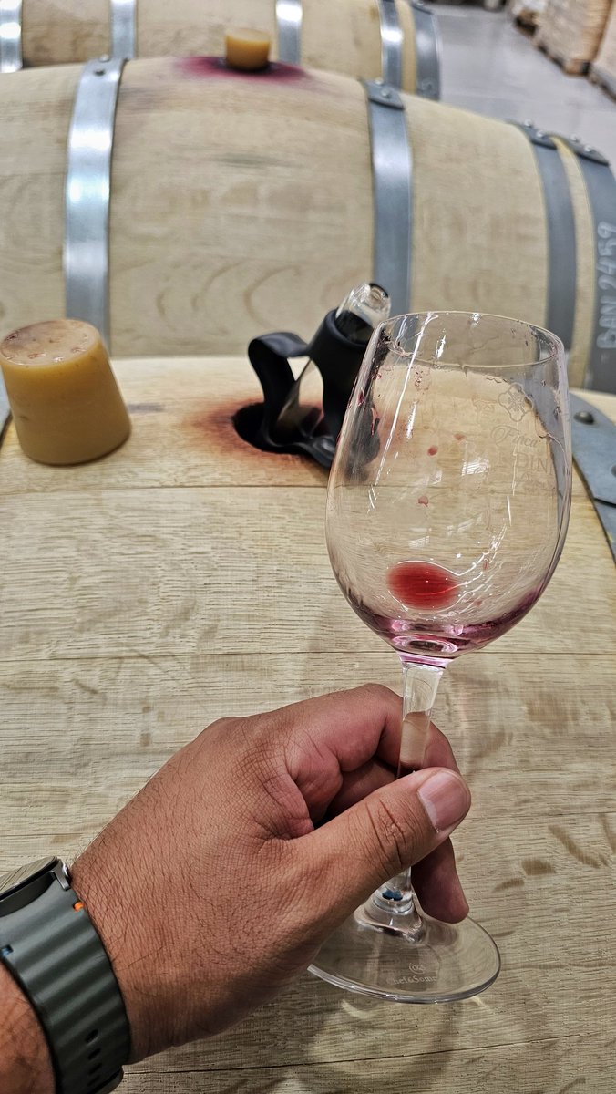 CharlieMP1's tweet photo. Mis mañanas en la Bodega :)

#Malbec #Mendoza https://t.co/scnhsZzd7R