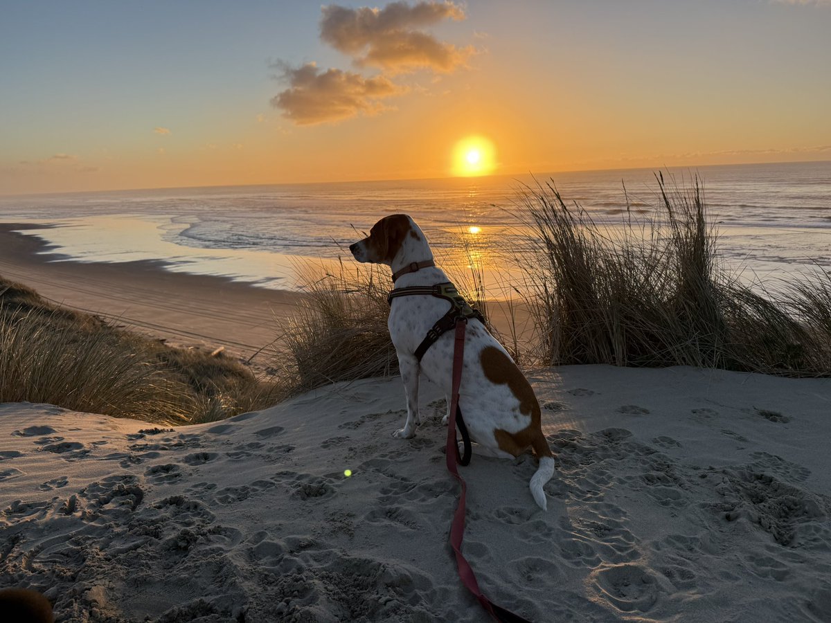 Simple Hash (HashbroMelts) tweet media