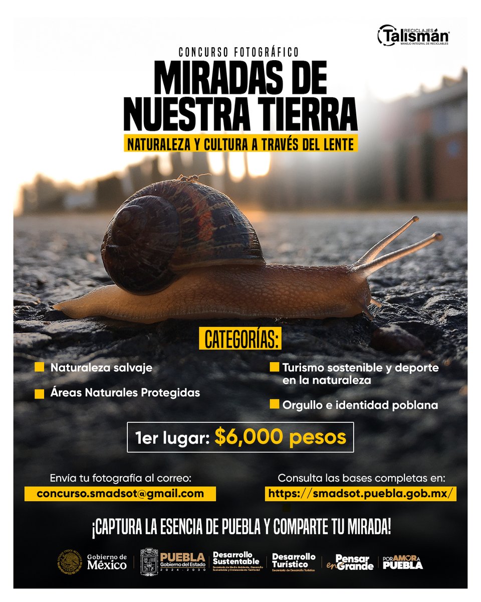 ❤️🌲Puebla late en cada paisaje, tradición y fauna única.

Si tienes la foto perfecta, entonces participa en el concurso #MiradasDeNuestraTierra 📸🌎, una oportunidad para demostrar tu talento y la riqueza natural de nuestro estado.

🏆 Hasta 6 mil pesos en premios por categoría