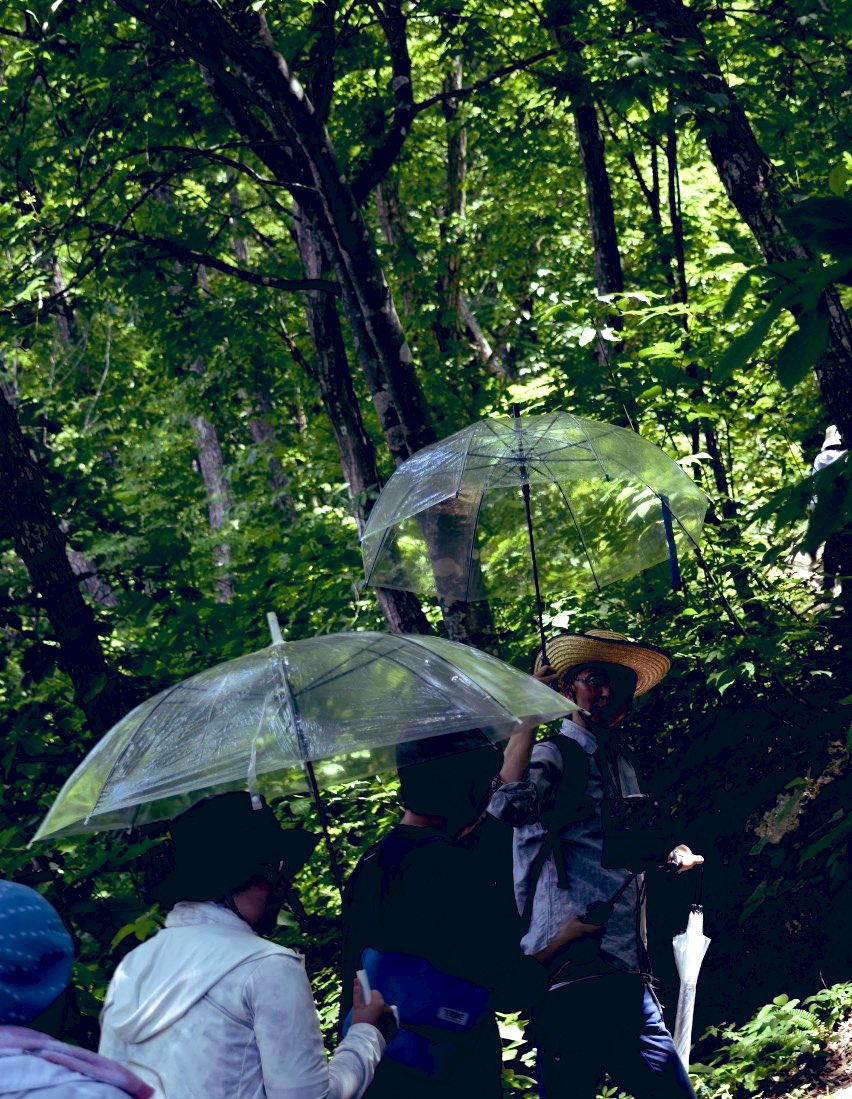 【杖の役割】修験道の様な険しい山を登る際に、傘をさして上がると楽になる。ヒモトレフィールドワークの時に皆さんにも試してもらいます。もちろん、たださすだけではなく、ちょっとした感覚を掴んでやってもらうが、みんな思った以上に驚いてくれる。そのコツとは、ただ傘の余分な重さが消えるように